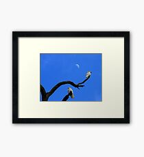 Under the moon Framed Print