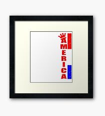 America Framed Print