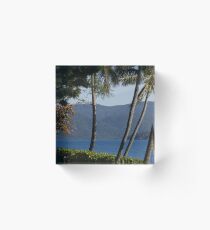 a splash of spring on Daydream Island Acrylic Block