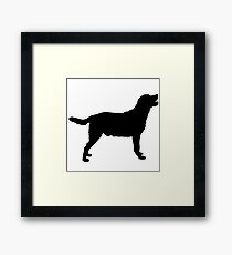 Labrador Retriever Framed Print