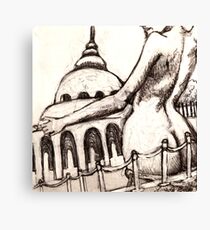 Capital Assets Canvas Print