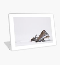 Borgey Laptop Skin