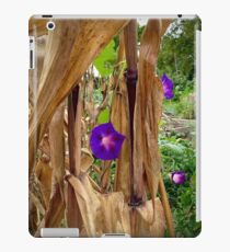 Autumn Morning Glories iPad Case/Skin