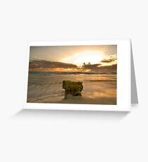 The Sacred Moss Rock Greeting Card