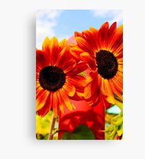 Sunny Flowers Canvas Print