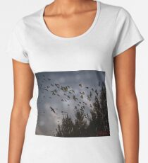 Lake Ginninderra around sunrise (Canberra/ACT/Australia) (11) Women's Premium T-Shirt