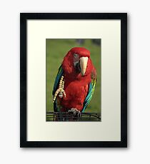 HELLO Framed Print