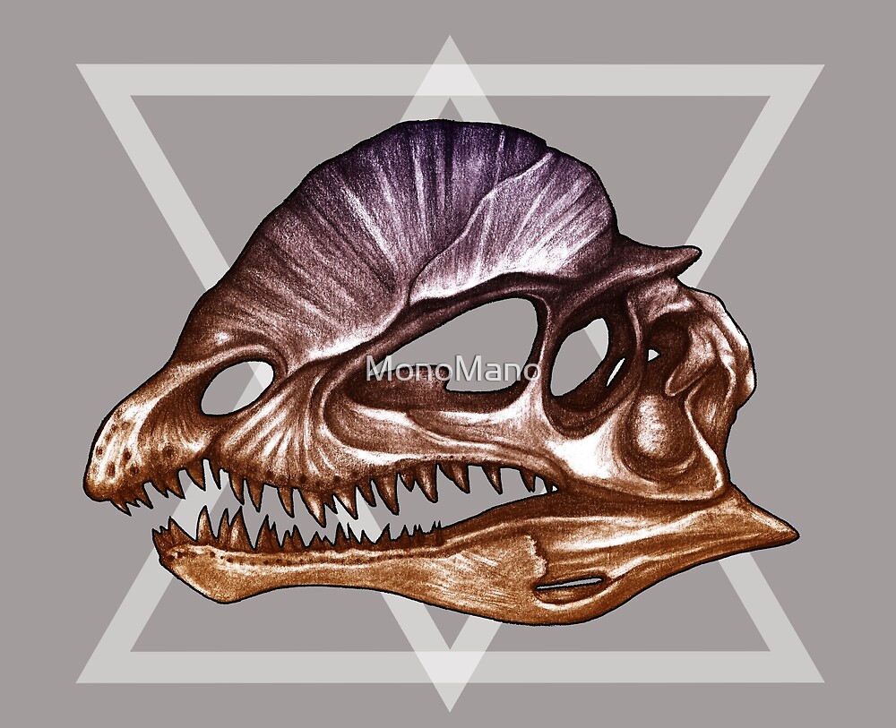 dinosaur skulls