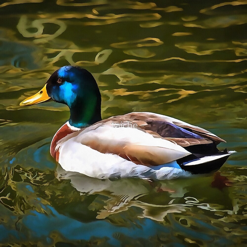 "Mallard Duck Artistic Portrait" by taiche Redbubble