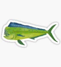 Mahi Mahi aka the Dolphin Sticker