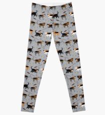 cat potter wizarding world pattern Leggings