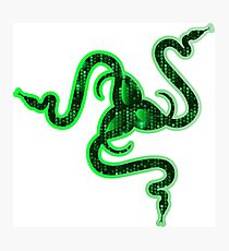 Green Snake - Chimera Brand Matrix Mode Photographic Print