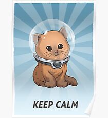 Póster Subnautica: Keep Calm Kitty