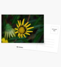 Feat of Yellow Postcards