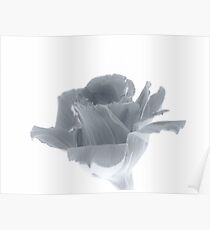 Monotone Poster