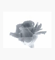 Monotone Photographic Print