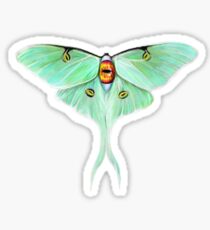 Papilio Oculus Sticker