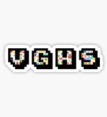 vghs merch amazon