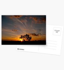 Perfect end to the day Postcards
