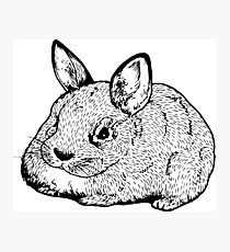 HASE Fotodruck