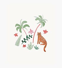 Calm Leopard Photographic Print