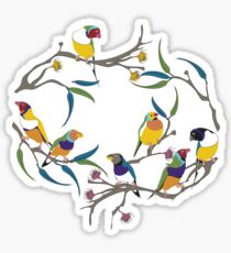 Australian Gouldian (Rainbow) Finches Sticker