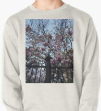 Building, Skyscraper, New York, Manhattan, Street, Pedestrians, Cars, Towers, morning, trees, subway, station, Spring, flowers Pullover