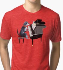 Piano lesson (Doggy Art) Tri-blend T-Shirt