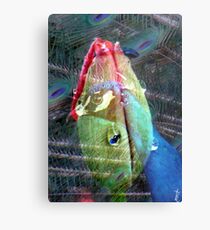 Peacock Prince Metal Print