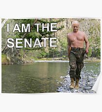 I am the senate Poster