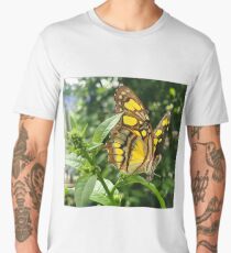 “An Angel’s Wings”, Photo / Digital Painting Men's Premium T-Shirt