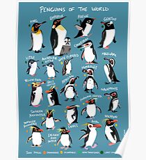 Penguins of the World Poster