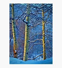 Winter Glow Photographic Print