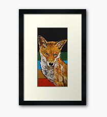 Red Fox Framed Print