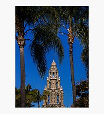 The Bell Tower Palms Photographic Print