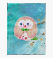 Borb Orb the Rowlett Photographic Print