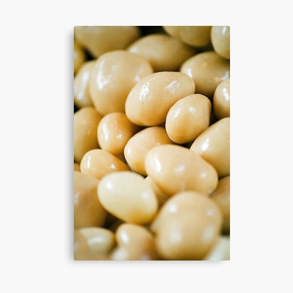 White Chocolate Raisins Canvas Print