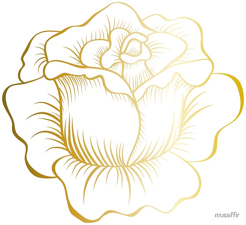 "Golden Rose" by musaffir | Redbubble