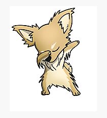 Long Hair Chihuahua Photographic Prints Redbubble