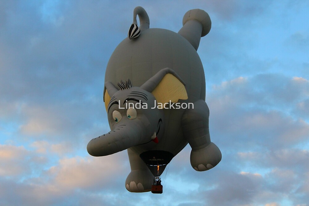 "Can elephants fly?" by Linda Jackson | Redbubble