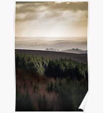 Back to Ireland Poster