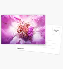 CENTERPIECE Postcards