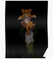 circle of life Poster