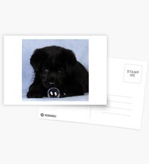 What is this thing? Postcards