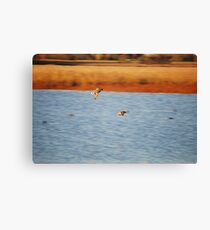 In Flight Canvas Print