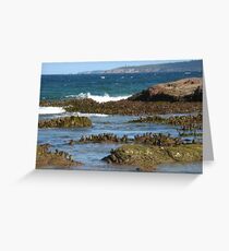 ROCK SCULPTURES Greeting Card