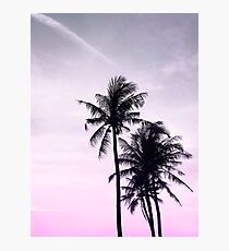 Palms on the Beach Photographic Print