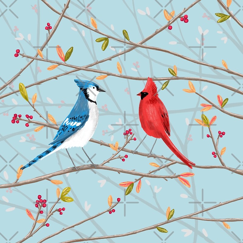 "Blue Jay & Red Cardinal" by Sophie Corrigan Redbubble