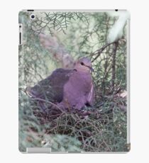 Ring-necked dove (Streptopelia capicola) or cape turtle dove on the nest. iPad Case/Skin