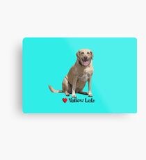 Yellow Lab Love Metal Print